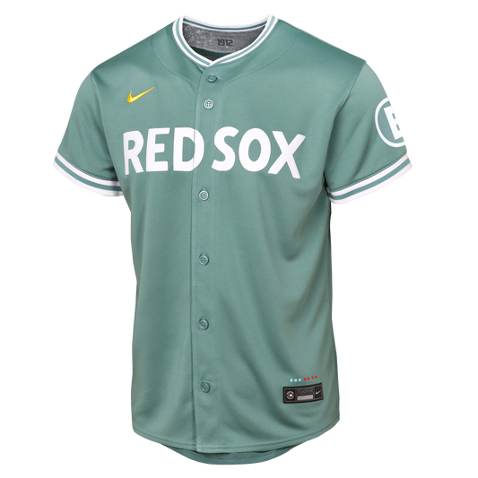 Boston Red Sox Youth Nike 25 City Connect Blank Jersey