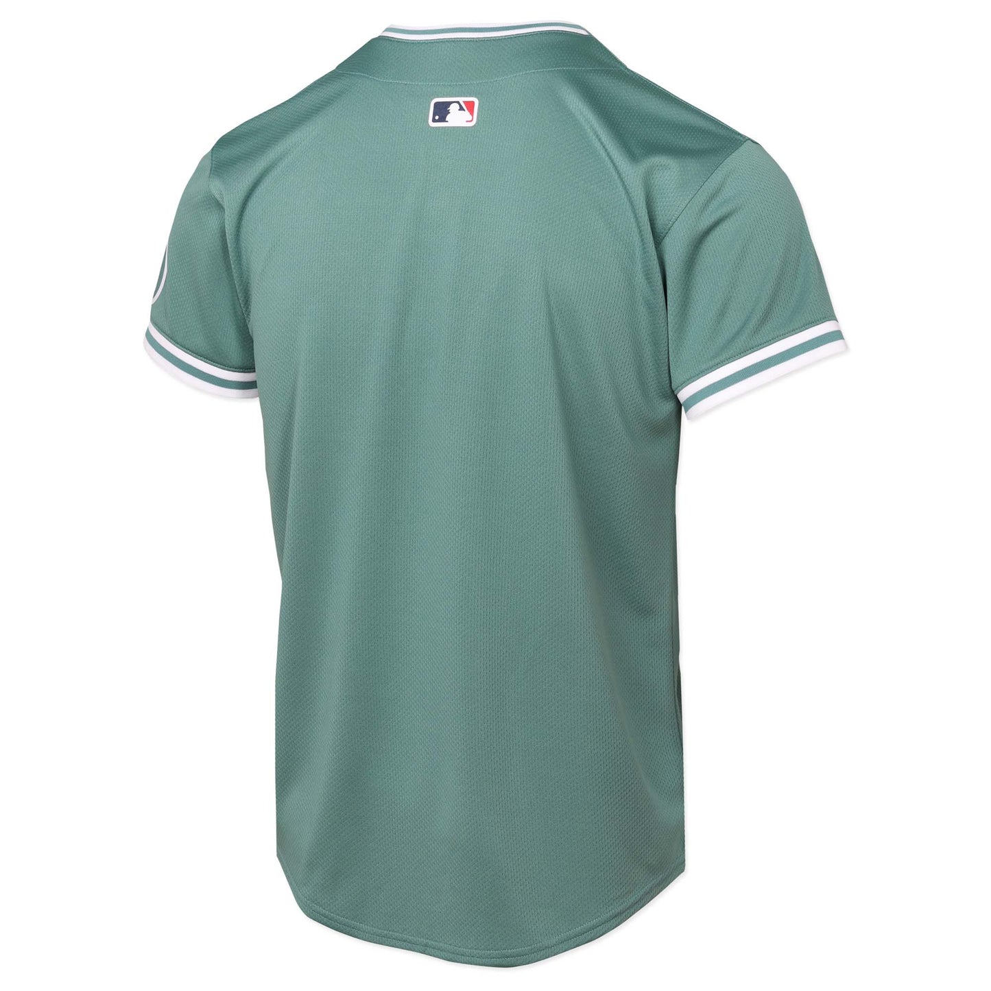 Boston Red Sox Youth Nike 25 City Connect Blank Jersey