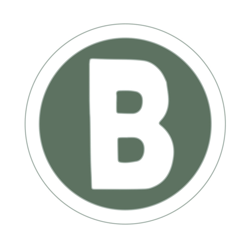 Boston Red Sox 25 City Connect B Logo BRS Lapel Pin