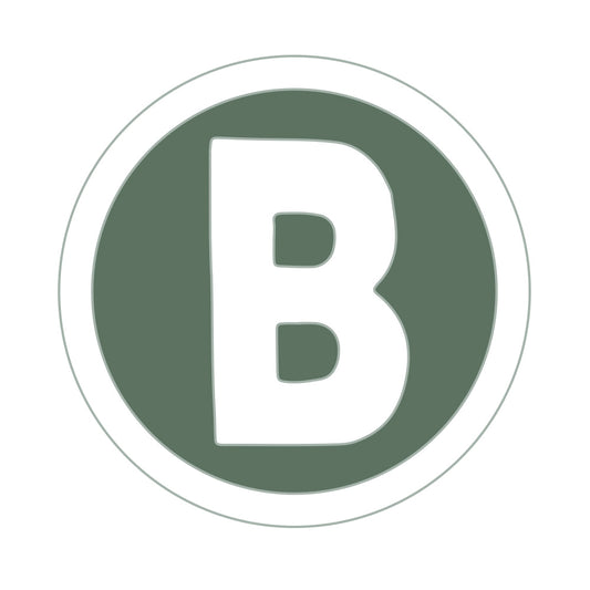 Boston Red Sox 25 City Connect B Logo BRS Lapel Pin